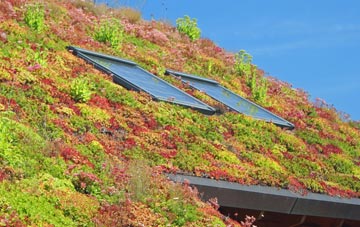 Rickards Down living roof systems